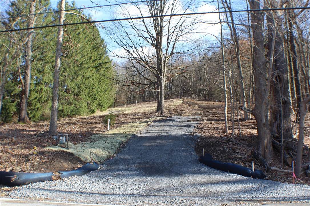 3376 Saxonburg Boulevard - Photo 1