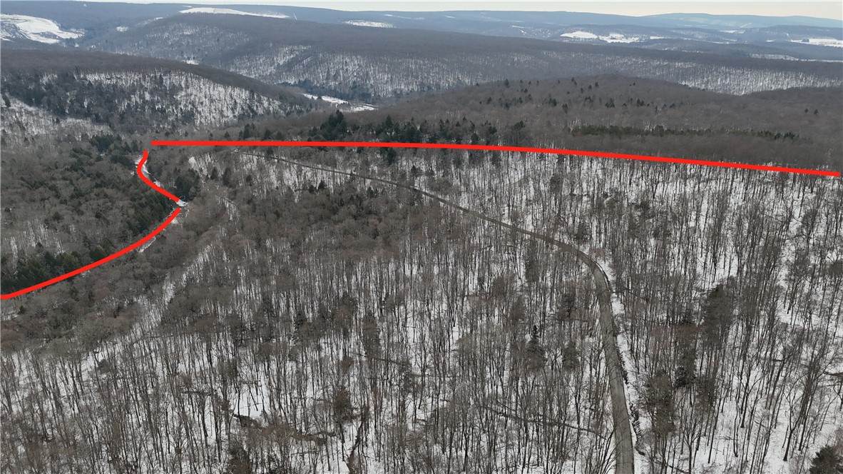 00 Rexis Rd - Photo 1