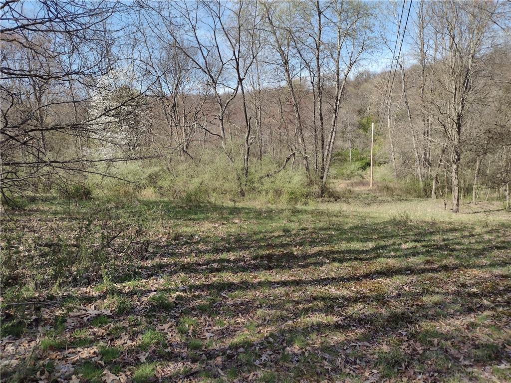 00 Tenacity Trail Off Wright Rd - Photo 1