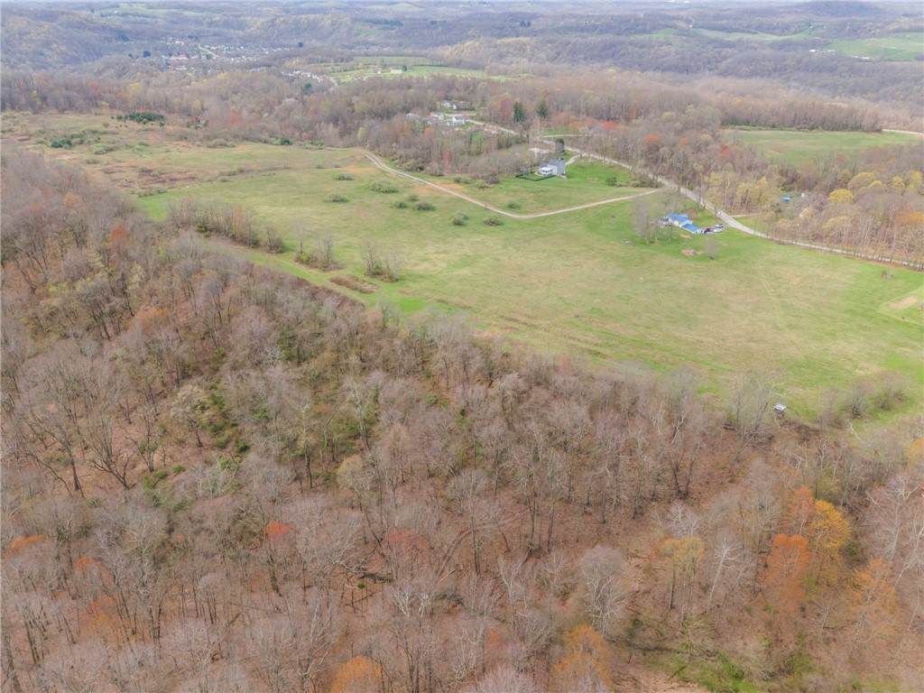 0 Sandy Plains Road - Photo 1