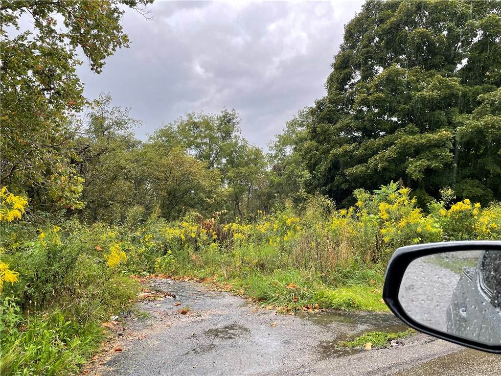 627 Pala Avenue - Photo 1