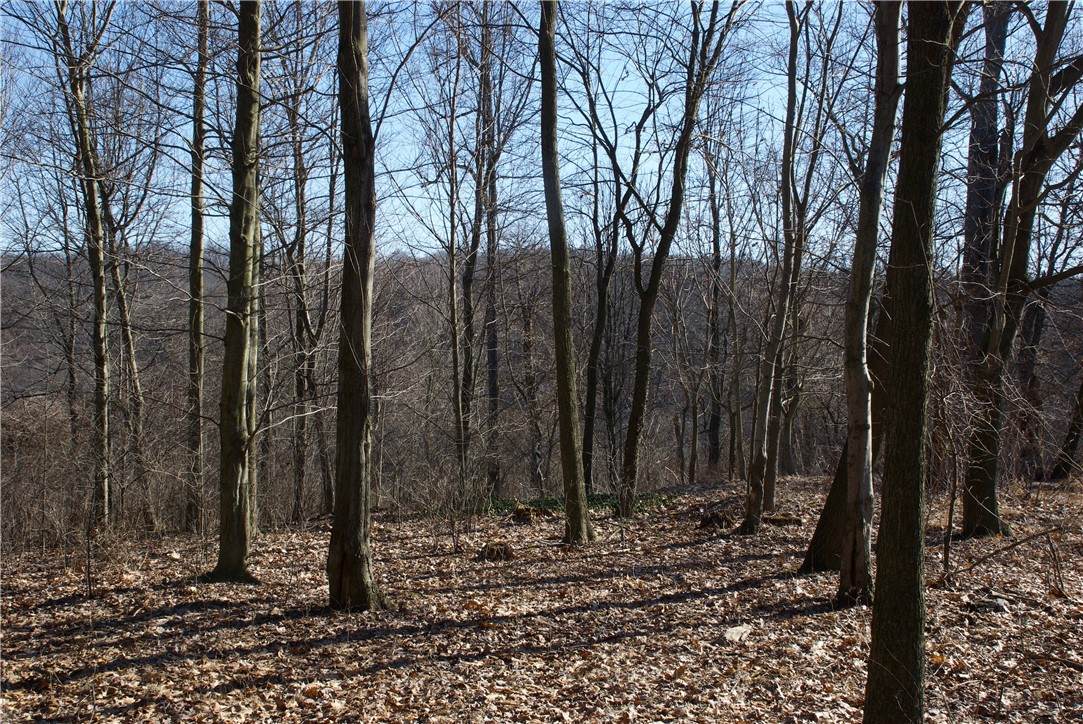 0 Audubon Road - Photo 1