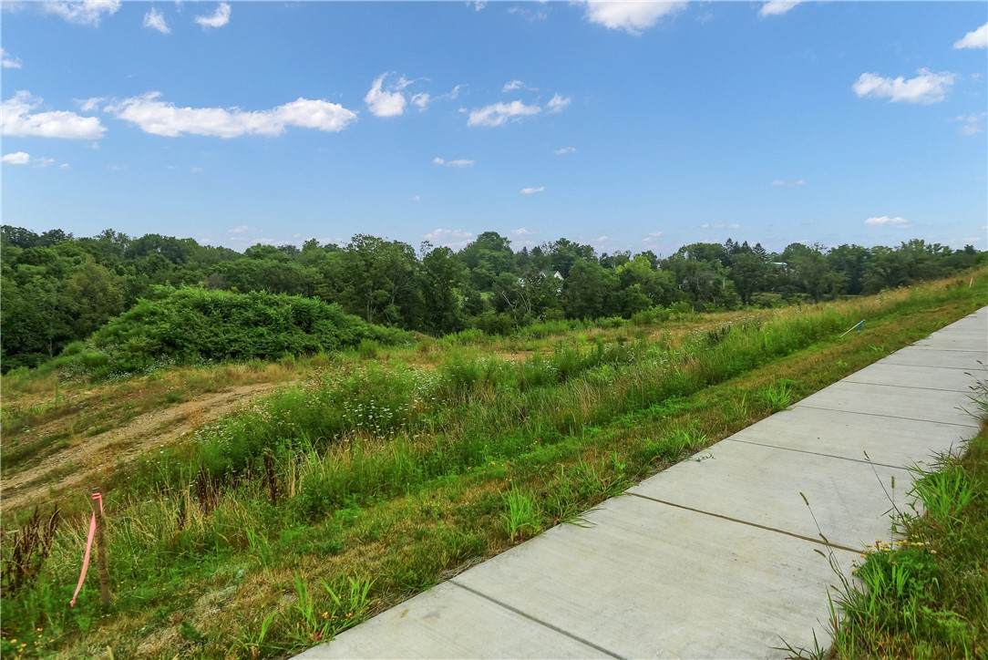Lot 4 Beaver Grade Road - Photo 1