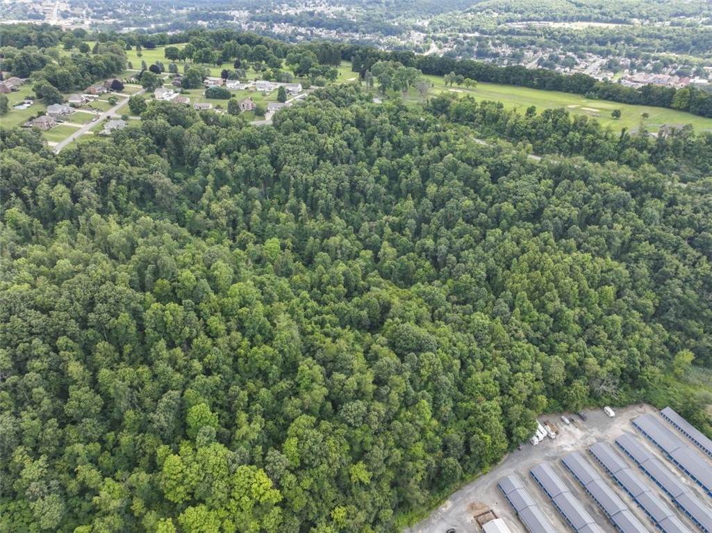 0 Constitution Blvd 0 Darlington Rd & State Rt 51 - Photo 1