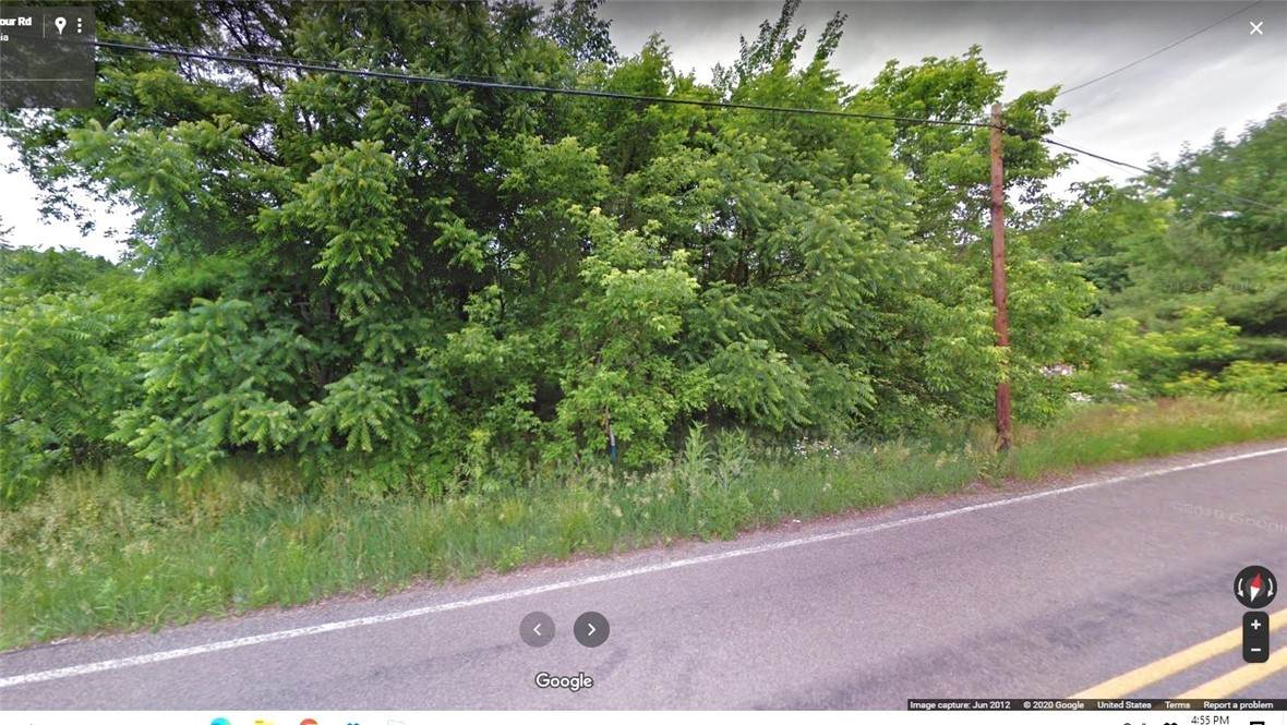 Lot 8 Thomas 84 Rd - Photo 1