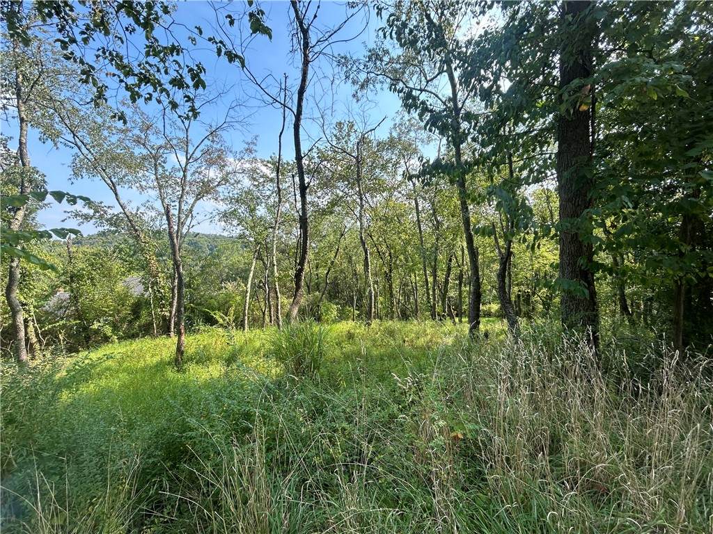 0 North Hills Road - Photo 1