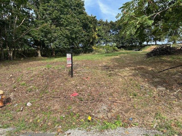 Lot # 3 Chamberlain - Photo 1