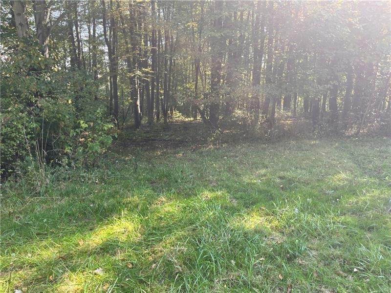 Lot #3 Old Plank Road - Photo 1