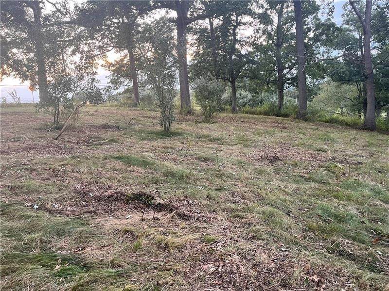 Lot #3 Saxonburg Road - Photo 1