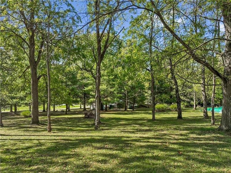 Lot#11 Vaneal Rd - Photo 1