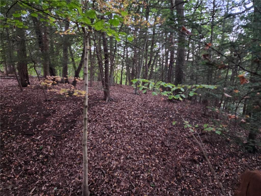 000 Barclay Hill Rd - Photo 1