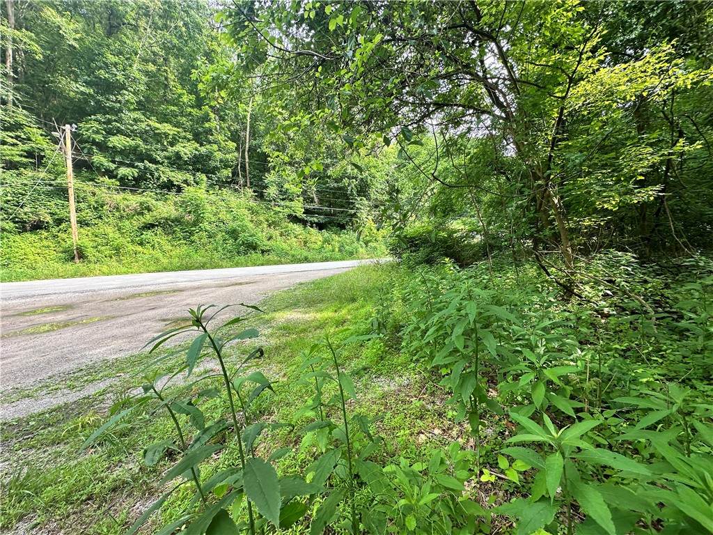 0 Johnson Hollow Rd - Photo 1