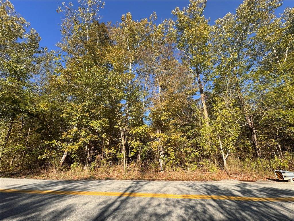 0 Narrows Rd - Photo 1