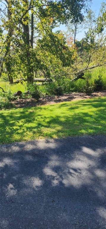 0 Watson Road - Photo 1