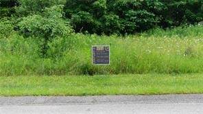 314 Long Branch Dr - Photo 1