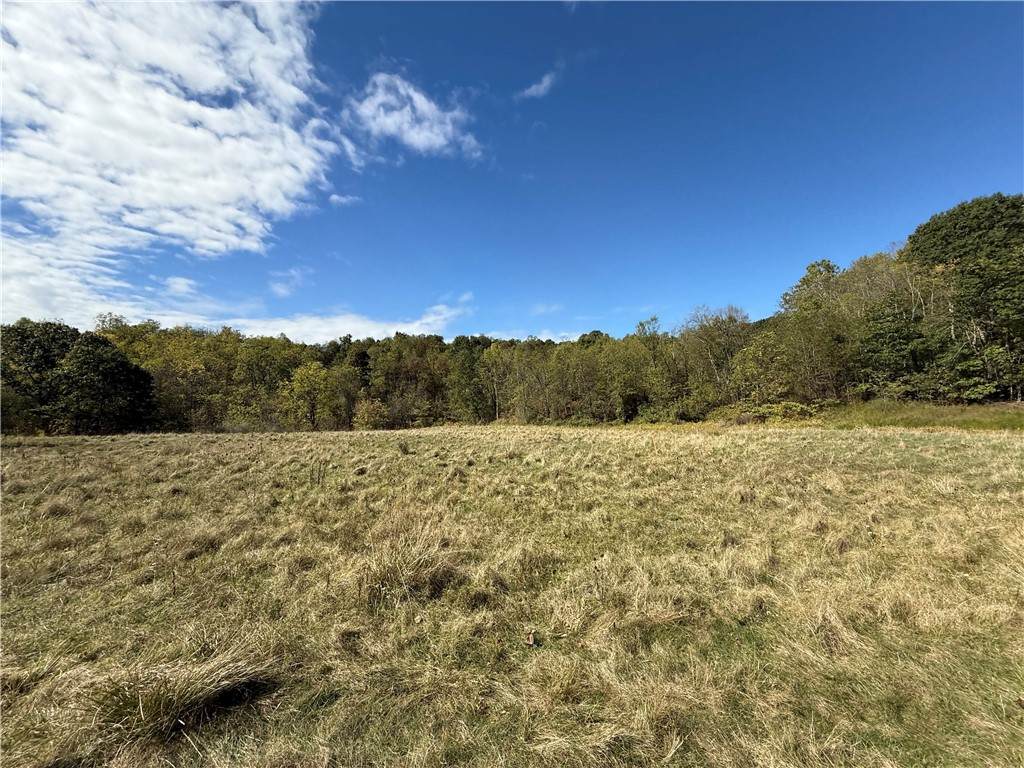 00 Mine Road - Photo 1