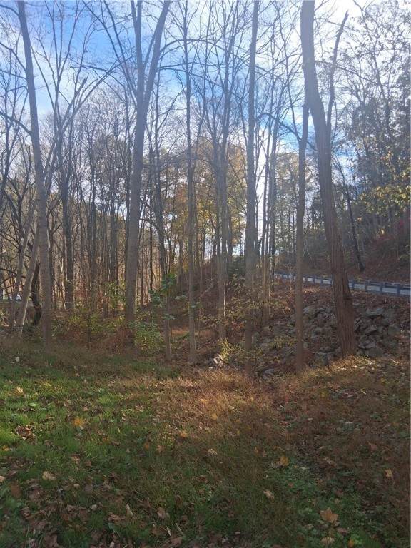 00 Baldwin Road - Photo 1
