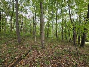 000 Lot 23 Dally Road - Photo 1
