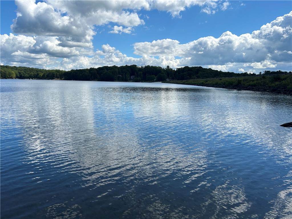 Section 14 Lot 24 Port-Au-Prince Road - Photo 1