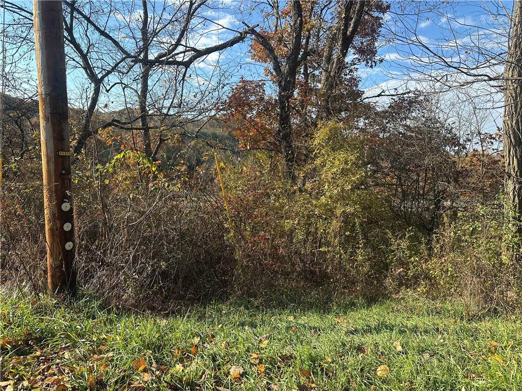 00 Freedom Crider Rd - Photo 1