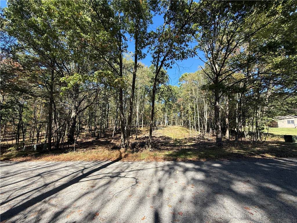 121 Helga Dr - Photo 1