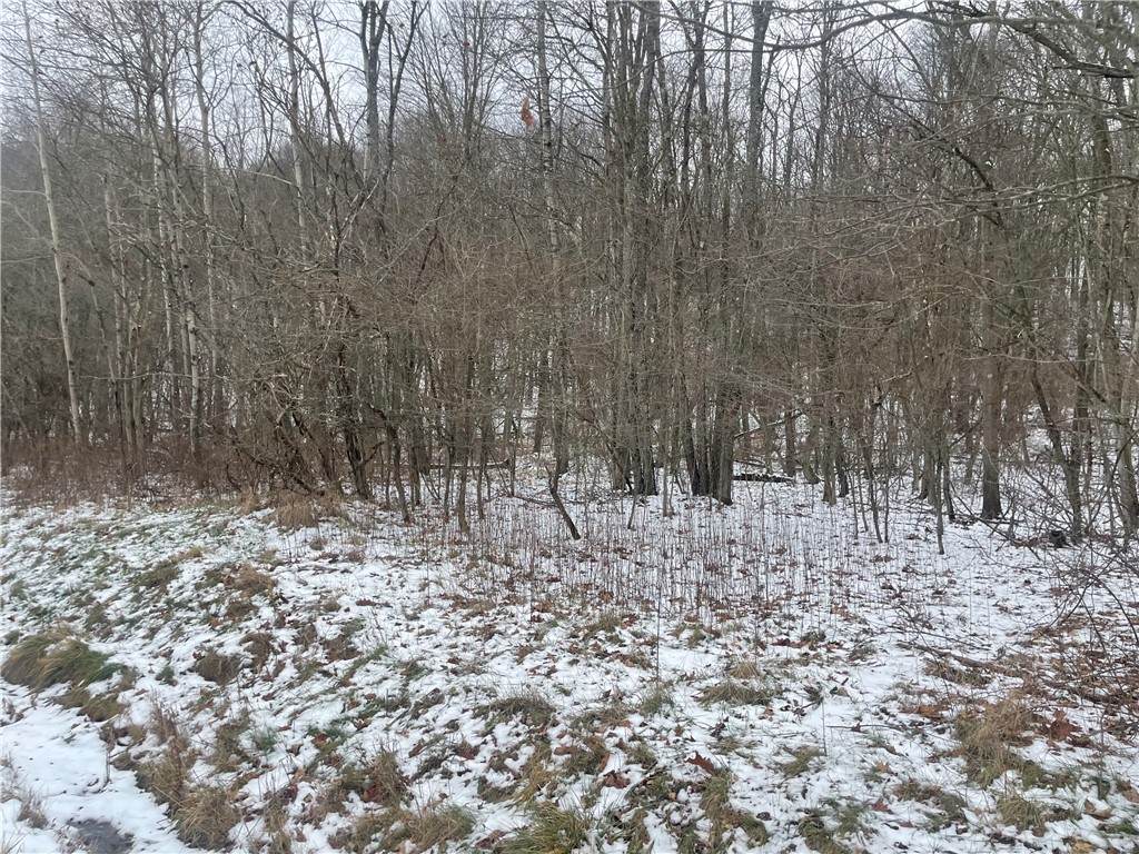 lot175 Kittanning Run - Photo 1