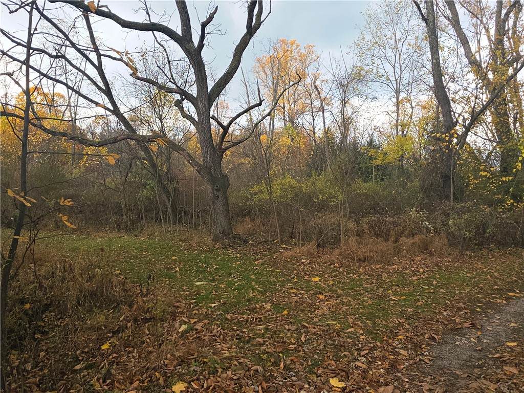 0 White School Rd. - Photo 1