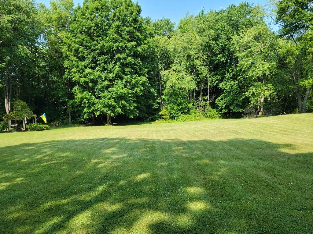 Lot 5 Oakdale Avenue - Photo 1