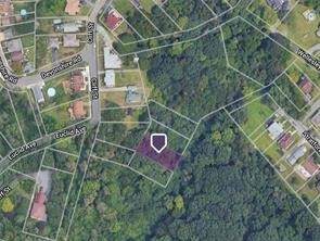 Lot 204 Wellesley Avenue - Photo 1