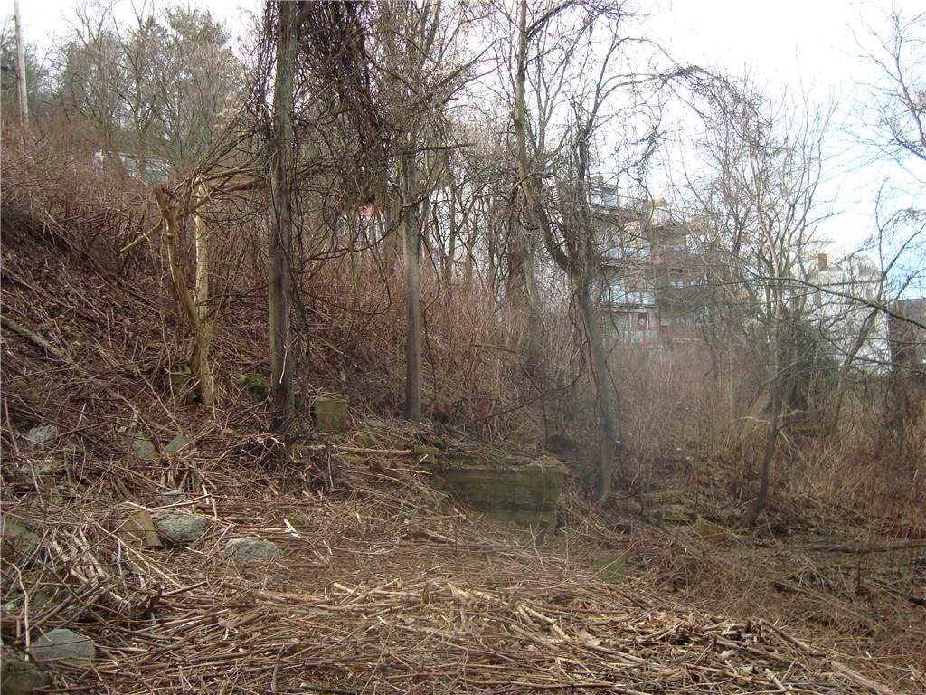 https://bt-photos.global.ssl.fastly.net/pittsburgh/orig_boomver_1_1732300-2.jpg