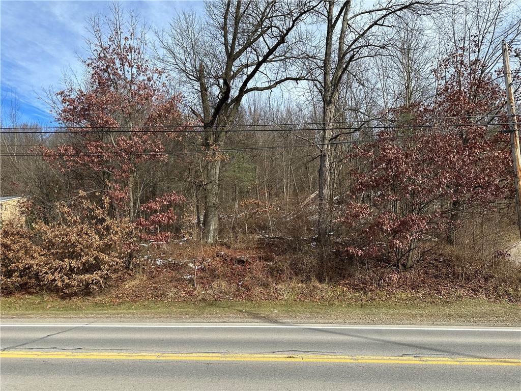 716 Rte 356 - Photo 1