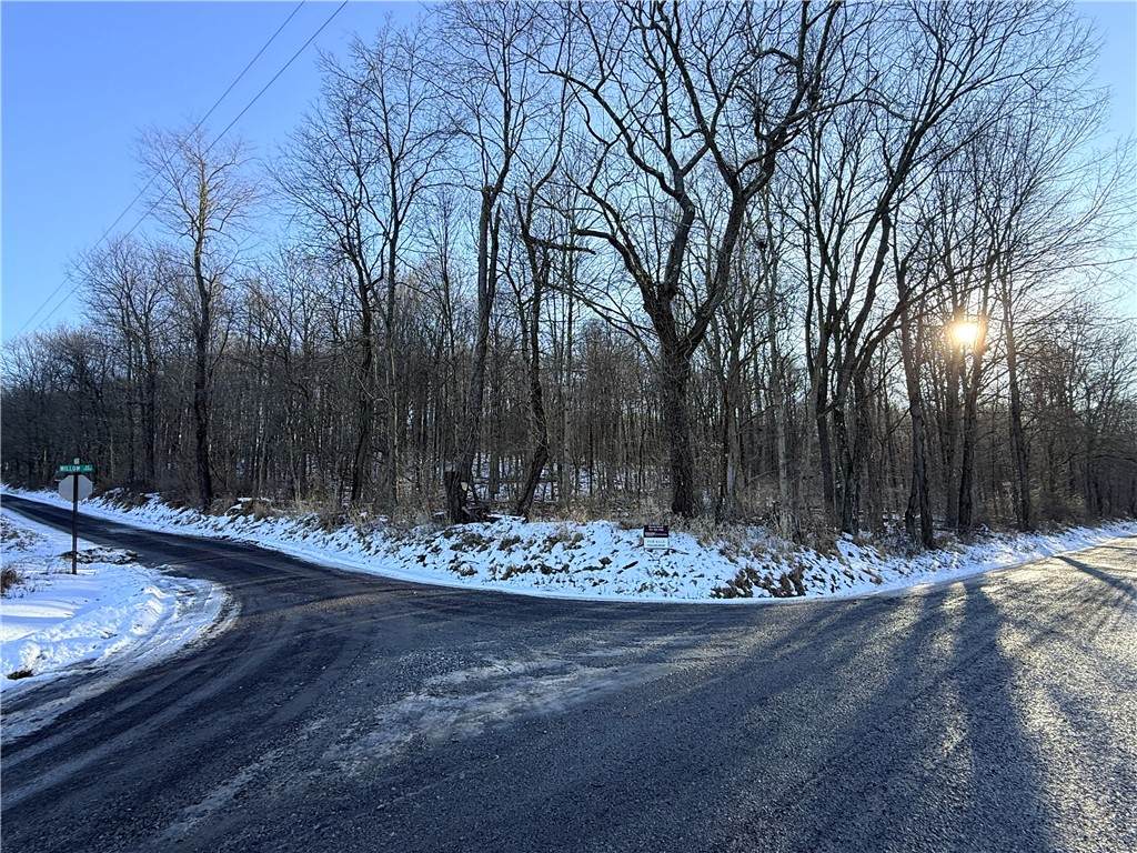 00 Willow Road - Photo 1