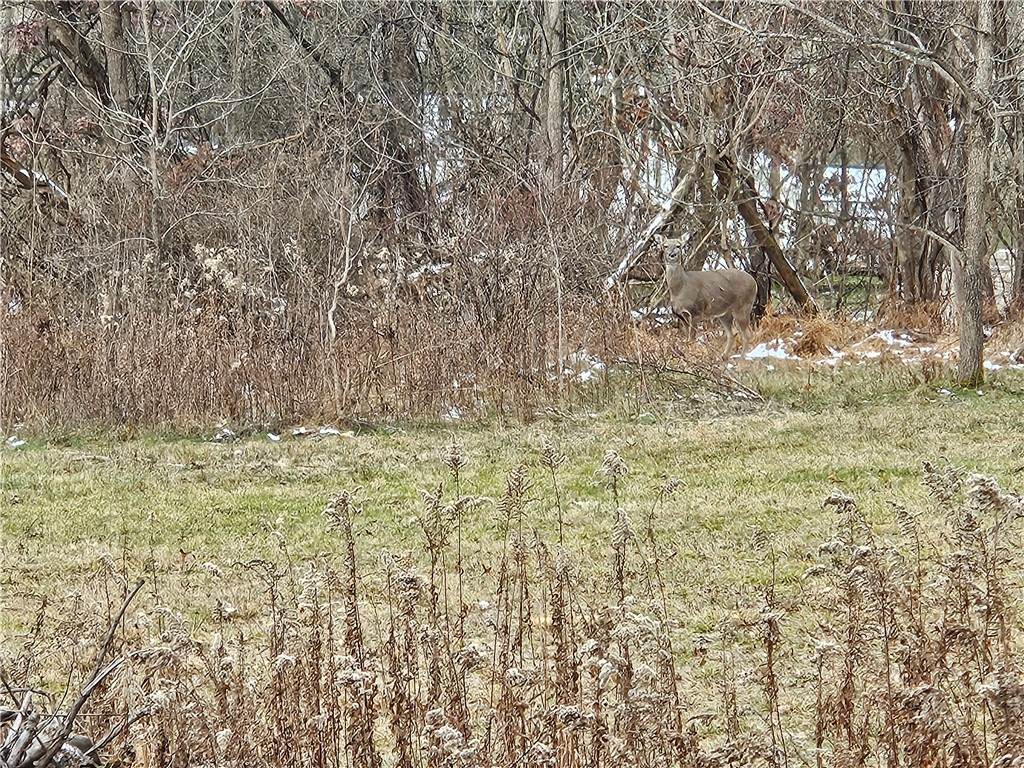 2505 Lot 2 Guffey - Photo 1