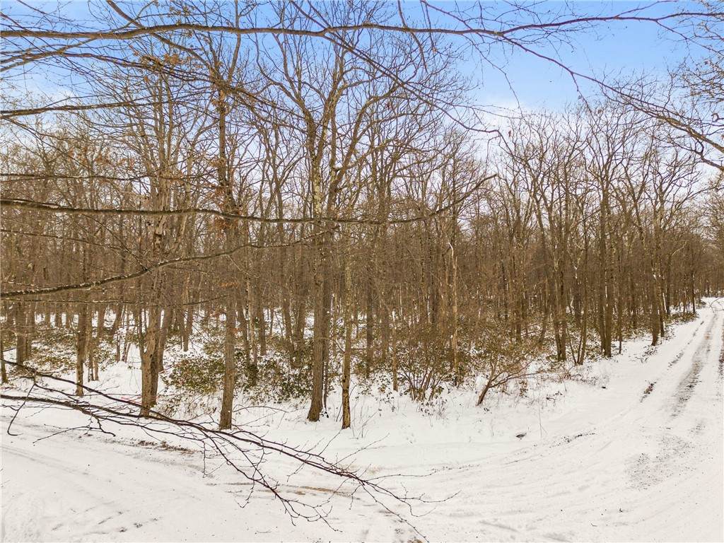 #86,87 Laurel Dr - Photo 1