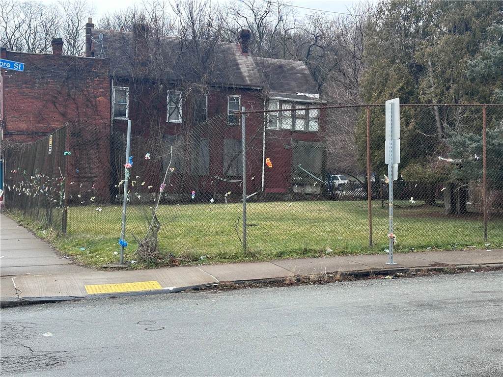 0 Frankstown Road - Photo 1