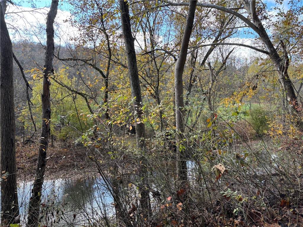 116 New Hill Rd - Photo 1