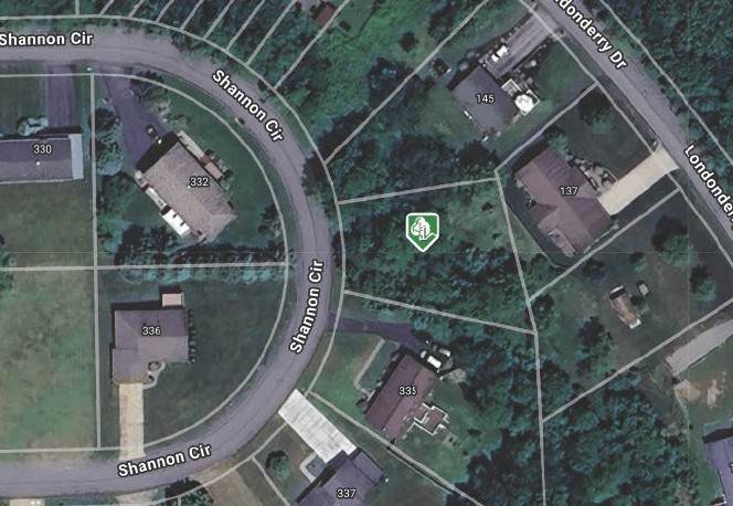 Lot 14 Shannon Circle - Photo 1