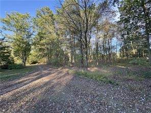 Lots 52-56 Geary Way - Photo 1