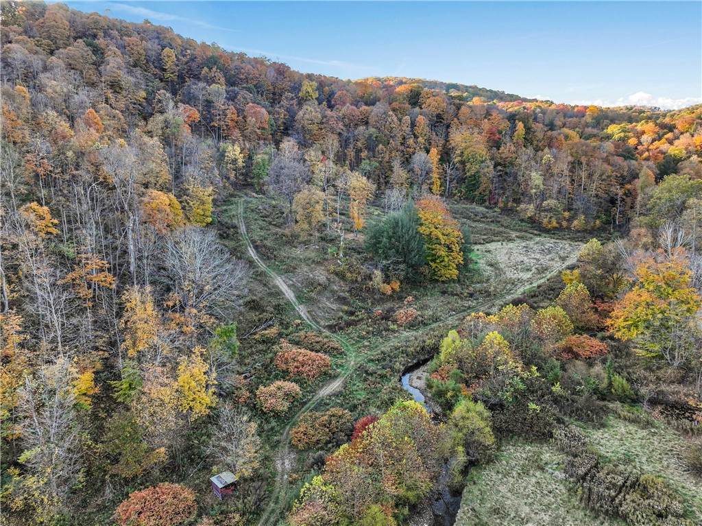 955 Pine Grove Rd - Photo 1