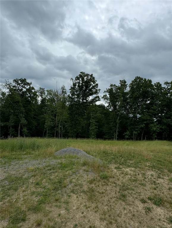(Lot 205) 2009 Mallard Ln - Photo 1