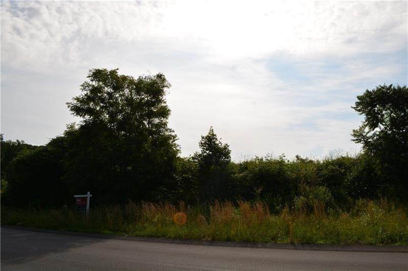 (Lot 323) 214 Macfadden Dr - Photo 1