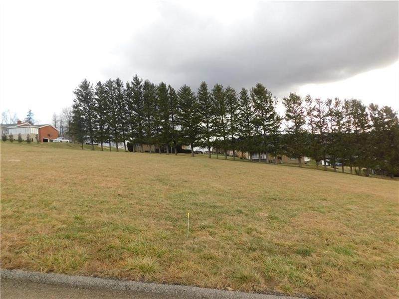 Lot 4 Baron Court - Photo 1