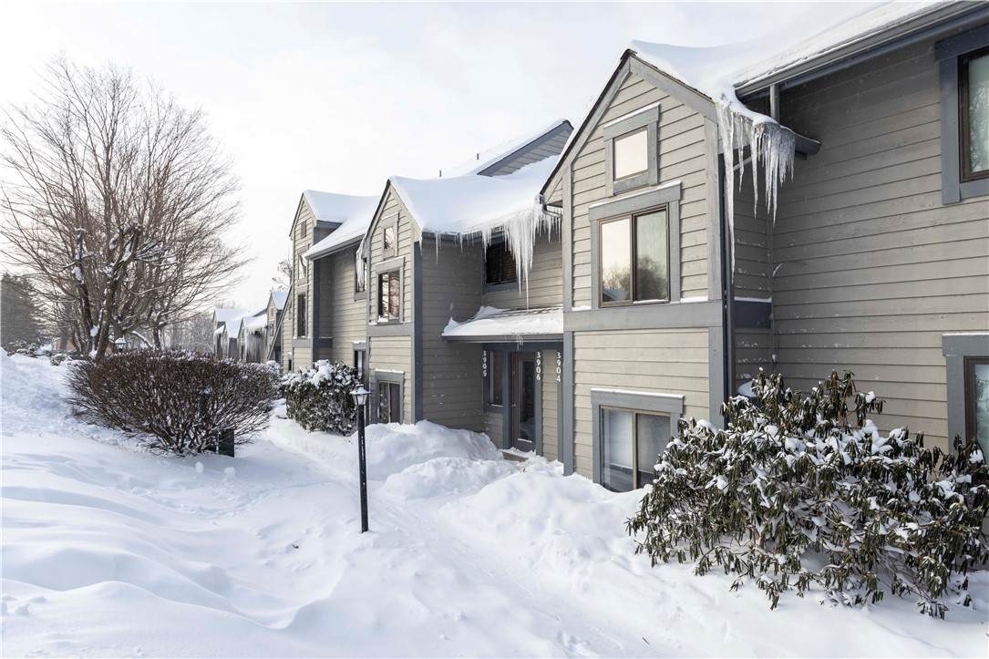 3905 Swiss Mountain Dr - Photo 1