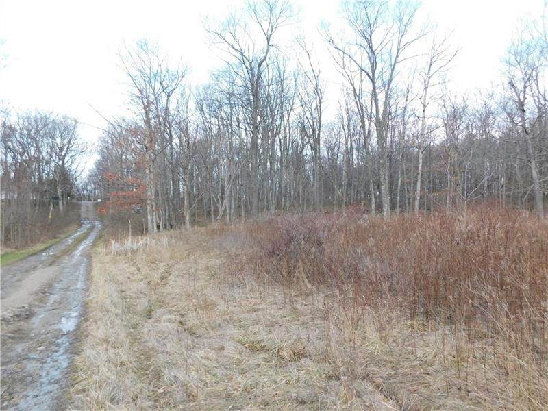 0 Hope Rd Off Hopwood Fairchance Road - Photo 1