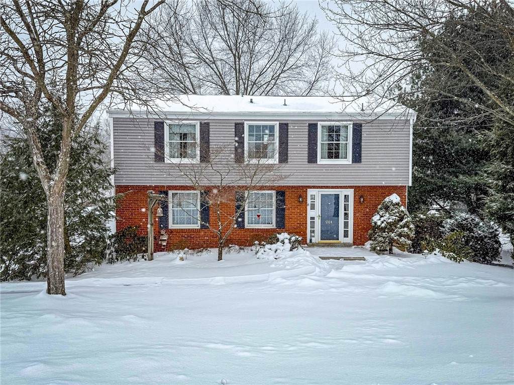 204 Bluegrass Drive - Photo 1