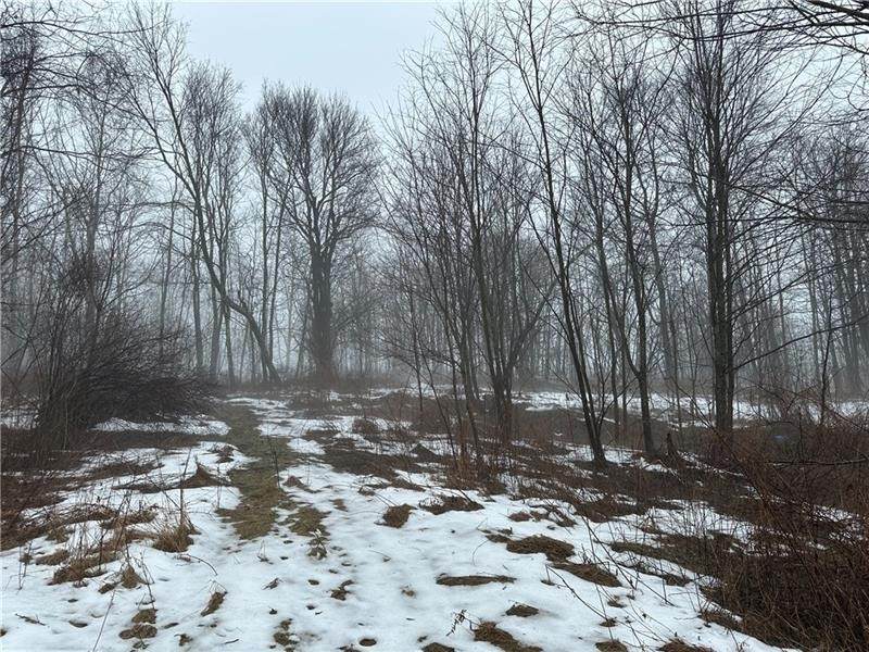 442 Bruceton Road - Photo 1