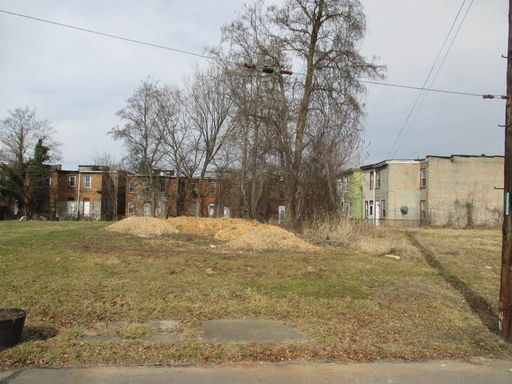 517 Winfield St - Photo 1