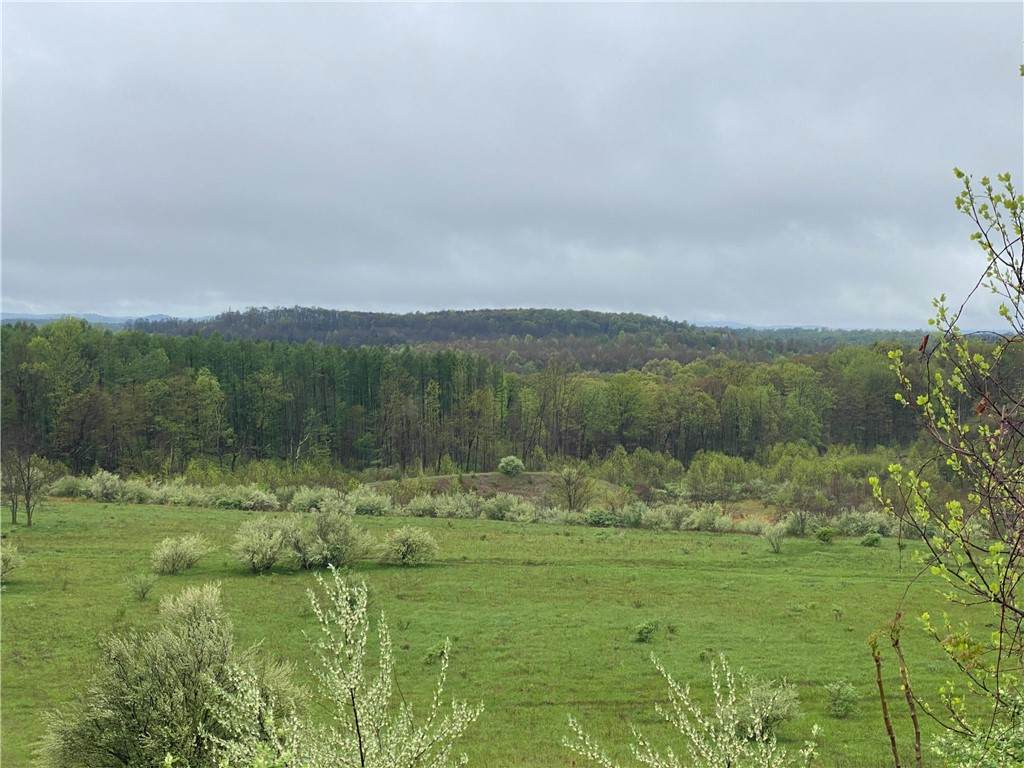 00 Decker's Point Road - Photo 1