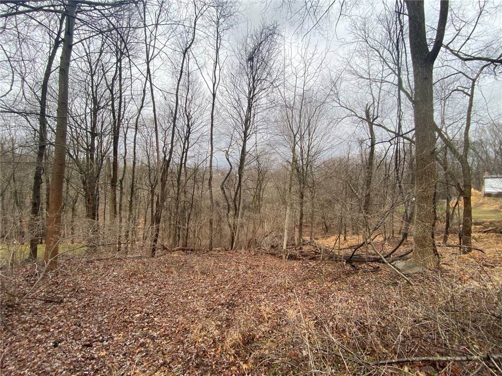 - Old Ramsey Rd - Photo 1