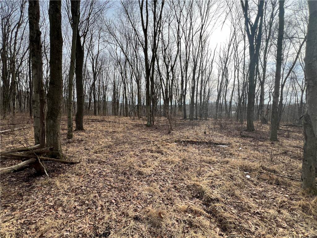 0 N Kings Creek Rd - Photo 1